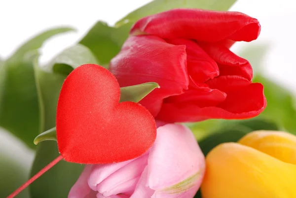 Tulips and decorative heart — Stock Photo, Image