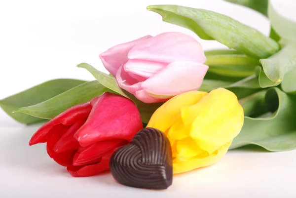 Tulips with candy — Stock Photo, Image