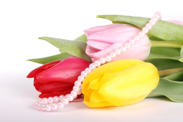Strzał studio trzy tulipany inny kolor na białym tle — Zdjęcie stockowe