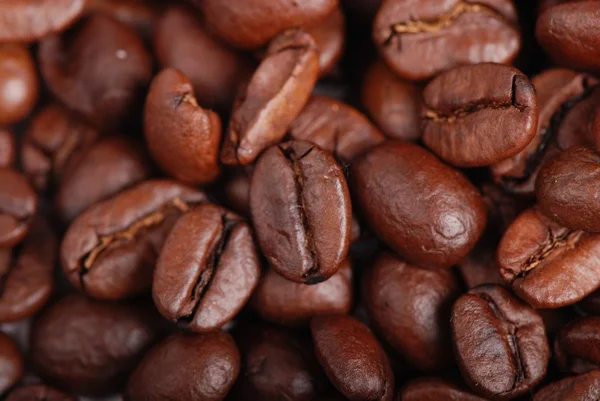 Coffee beans — Stock Photo, Image