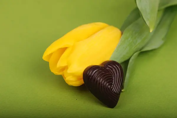 Tulipán amarillo con caramelo de chocolate — Foto de Stock