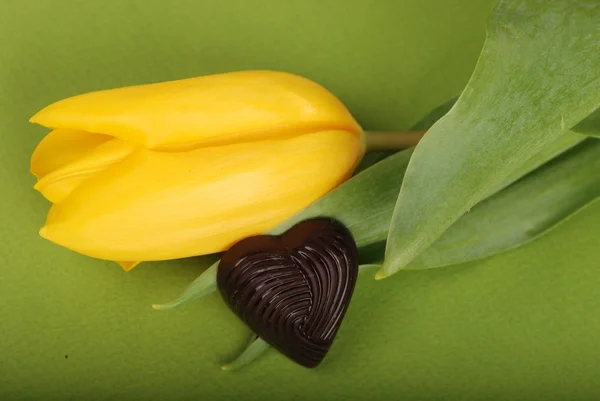 チョコレートのお菓子と黄色いチューリップ — ストック写真