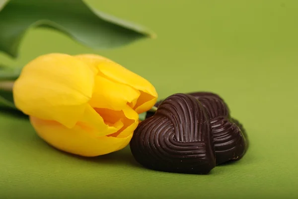 Žlutý Tulipán s čokoládové bonbóny — Stock fotografie