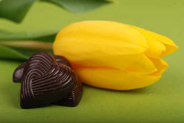 Gelbe Tulpe mit Schokoladenbonbons — Stockfoto