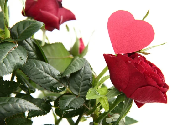 Rose rosse con cuore — Foto Stock