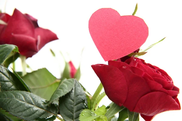 Красные розы с сердцем — стоковое фото