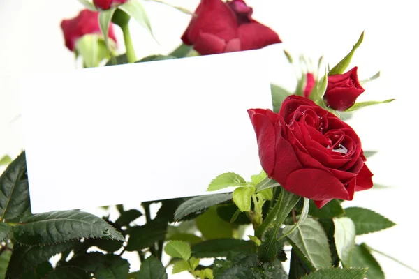 Rosas rojas con tarjeta — Foto de Stock