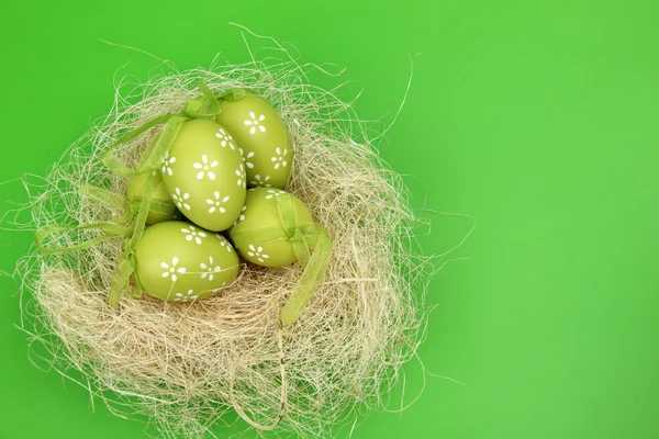 Easter color eggs in nest — Stock Photo, Image