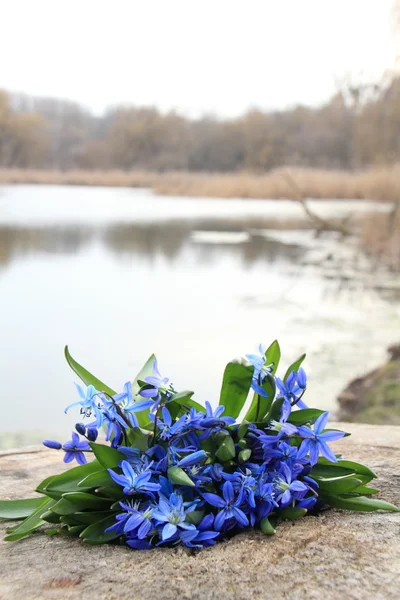 Schöne Outdoor-Bild der schönen Natur — Stockfoto