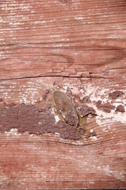 eski ve doğal kahverengi boyanmış ahşap zemin