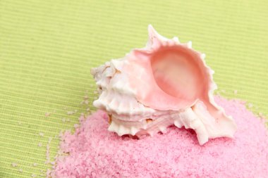 deniz tuzu ve sea shell kompozisyon