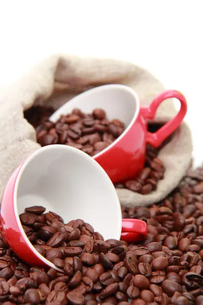 Coffee beans in ceramic coffee cup — Stock Photo, Image
