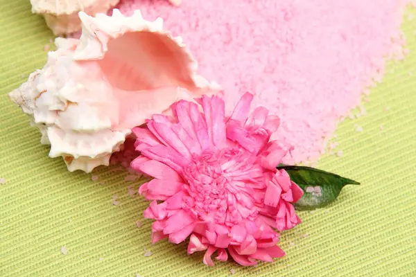 Sea salt, sea shell and flower composition — Stock Photo, Image