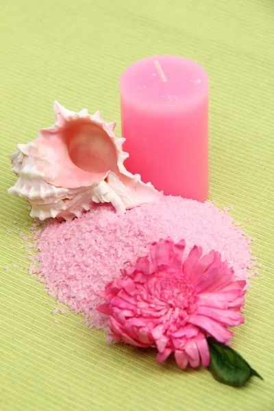 Decoration of sea salt, sea shell, wisp, cangle and flower — Stock Photo, Image