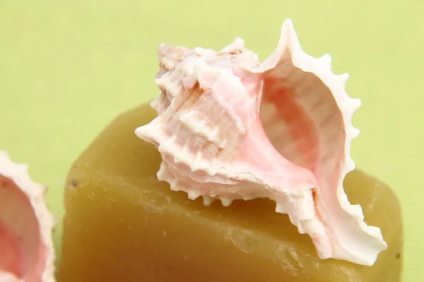 Cáscara marina y composición de jabón hecho a mano —  Fotos de Stock