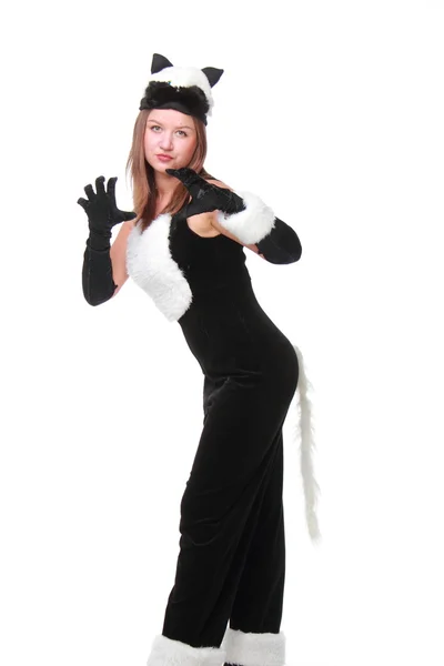 Beautiful girl in cat costume — Stock Photo, Image