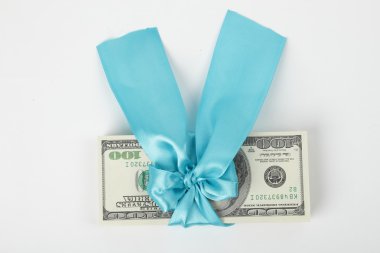 mavi kurdele ile 100 dolar hediye paketi