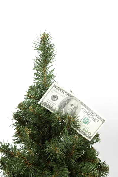Dollar banknote hanging on Christmas tree — Stock Photo, Image