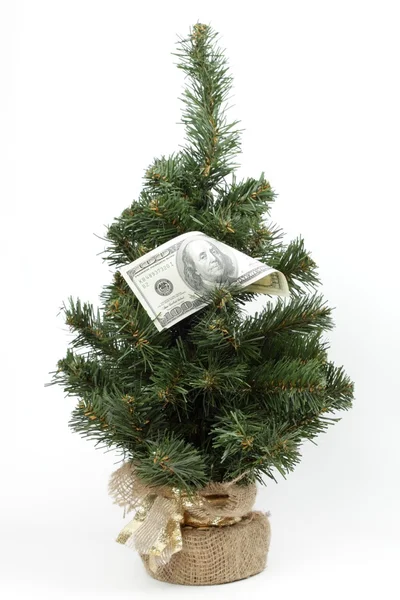 Julgran dekorerad med pengar — Stockfoto
