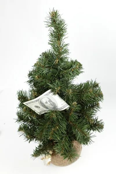 在一棵圣诞树上的一百美元条例草案 — 图库照片