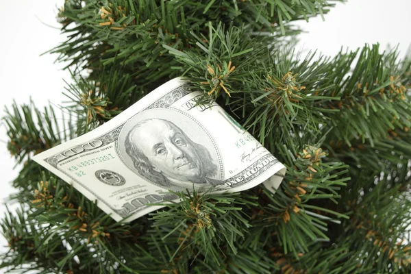 クリスマス ツリーに掛かっているドル紙幣 — ストック写真