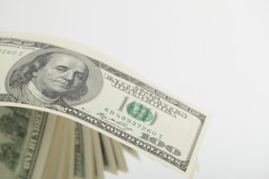 beyaz zemin üzerine ABD Doları