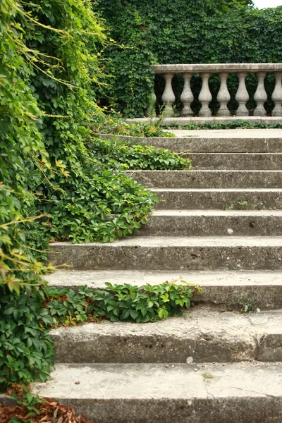 Antieke stenen vazen op groene klimop trapleuning — Stockfoto