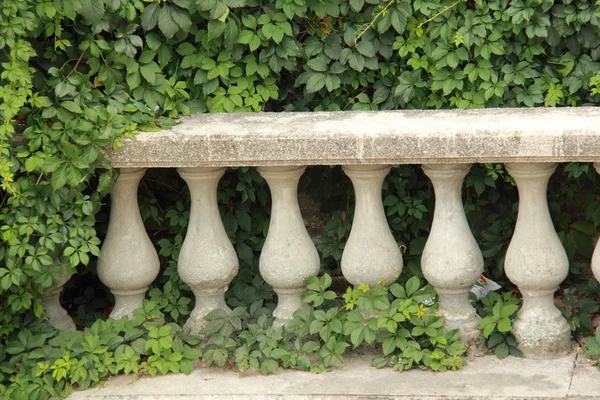 Floreros antiguos de piedra barandilla sobre hiedra verde — Foto de Stock