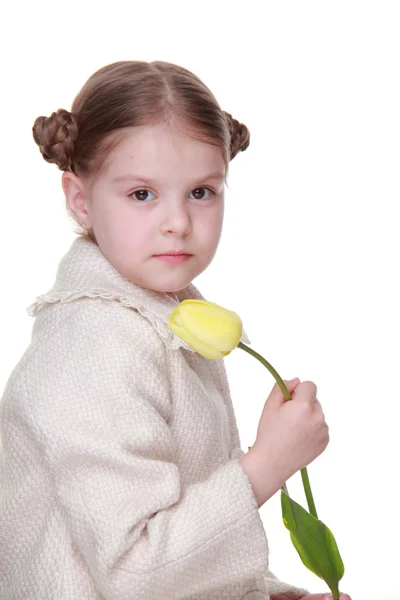 Studio portrait of a little girl with a yellow tulip — Stock Photo, Image