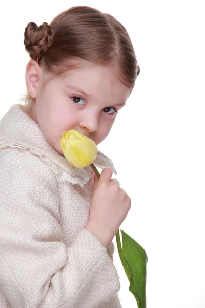 Stúdió portré egy kislány egy sárga tulipán — Stock Fotó