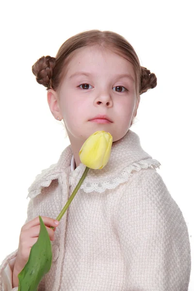 Studio portret van een klein meisje met een gele tulp — Stockfoto