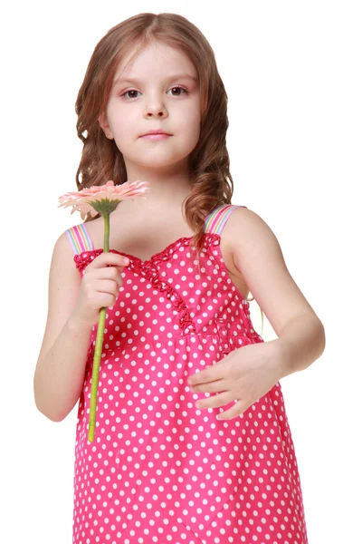 Lovelyl niña con una dulce sonrisa sosteniendo una flor de beautifu sobre un fondo blanco — Foto de Stock