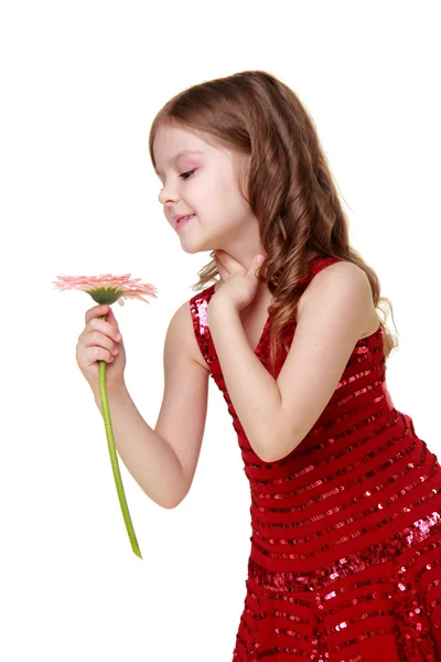 Charmante petite fille avec un maquillage léger et une belle robe tenant une gerbera rose — Photo