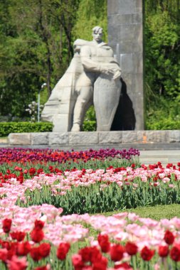 poltava, Ukrayna, Zafer Anıtı üzerinde Lale alan