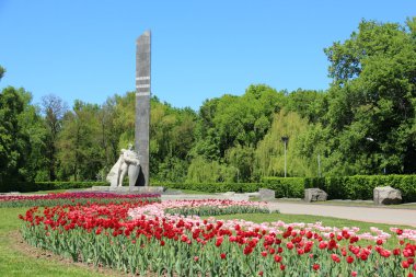 poltava, Ukrayna, Zafer Anıtı üzerinde Lale alan