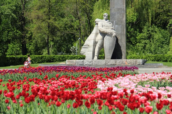 Campo de tulipanes sobre monumento de gloria, Ucrania, Poltava — Foto de Stock
