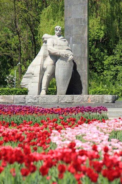Pole tulipánů nad pomníkem slávu, Ukrajina, poltava — Stock fotografie