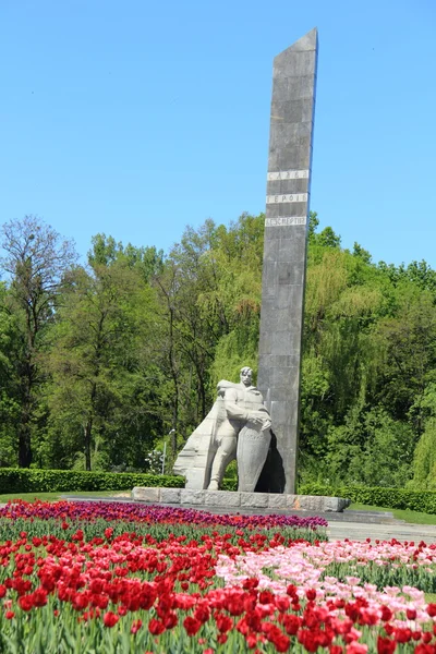 Campo di tulipani sopra monumento di gloria, Ucraina, Poltava — Foto Stock