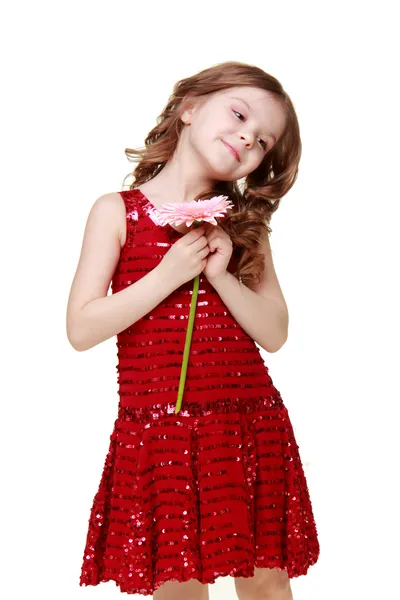 Niña feliz en un vestido rojo sosteniendo una gerbera fresca — Foto de Stock