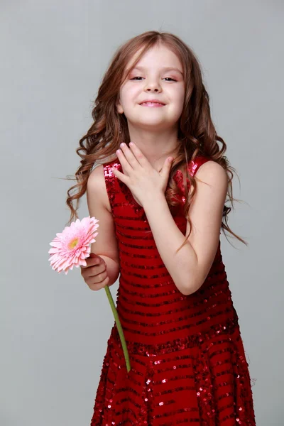 Szczęśliwa dziewczynka w czerwonej sukience gospodarstwa świeże gerbera — Zdjęcie stockowe