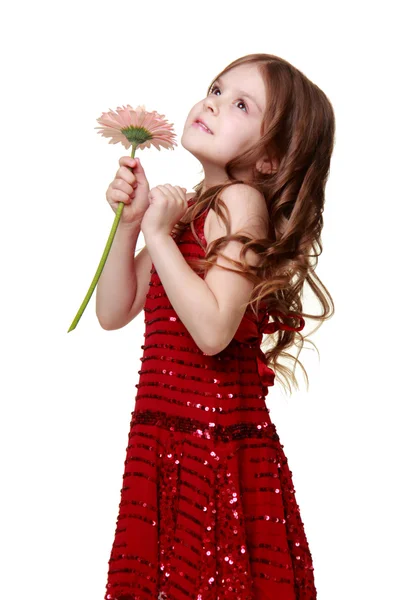 Bonne petite fille dans une robe rouge tenant une gerbera fraîche — Photo
