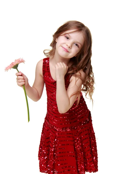 Encantadora niña con un vestido rojo sosteniendo una gerbera rosa — Foto de Stock