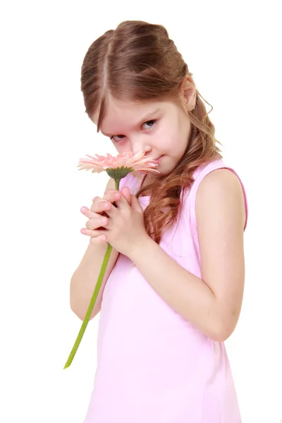 Lovelyl weinig in een jurk bedrijf een gerbera — Stockfoto