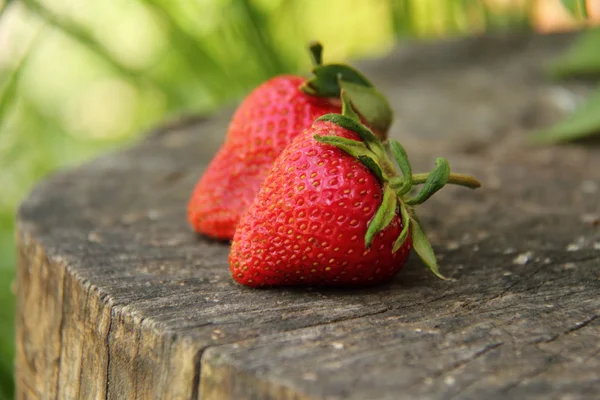 Naturalnych świeżych truskawek na pniu drewniane w lesie — Zdjęcie stockowe