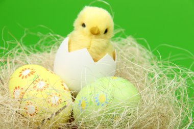 yumurta ve tavuk üzerinde yeşil bir arka plan ile küçük Paskalya sepeti