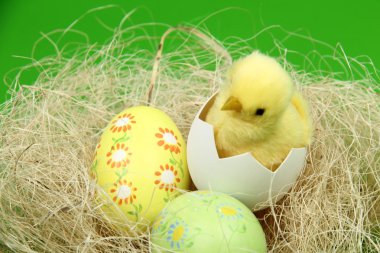 yumurta ve tavuk üzerinde yeşil bir arka plan ile küçük Paskalya sepeti