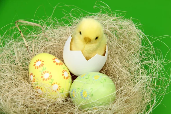 Image studio sur le thème de Pâques avec des œufs colorés — Photo