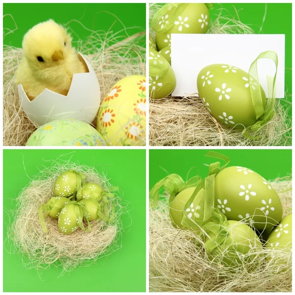 Uppsättning bilder av påskägg på grön bakgrund på holiday tema uppsättning bilder på påsk tema — Stockfoto