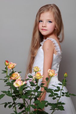 gri zemin üzerine yeşil yaprakları ile Sarı Gül tutan güzel sağlıklı uzun tüyleri beyaz kız