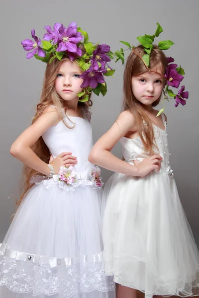 Европейские две маленькие девочки с красивыми волосами со свежими фиолетовыми клематис на сером фоне — стоковое фото